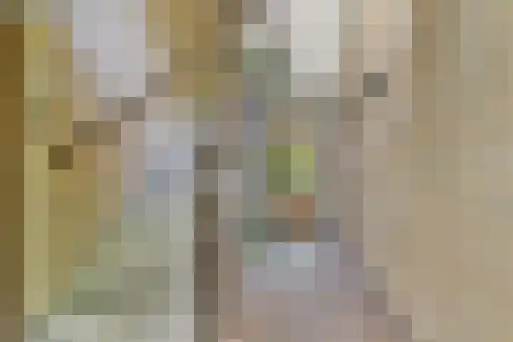 Catsveld 141 Gouda thumbnail 30