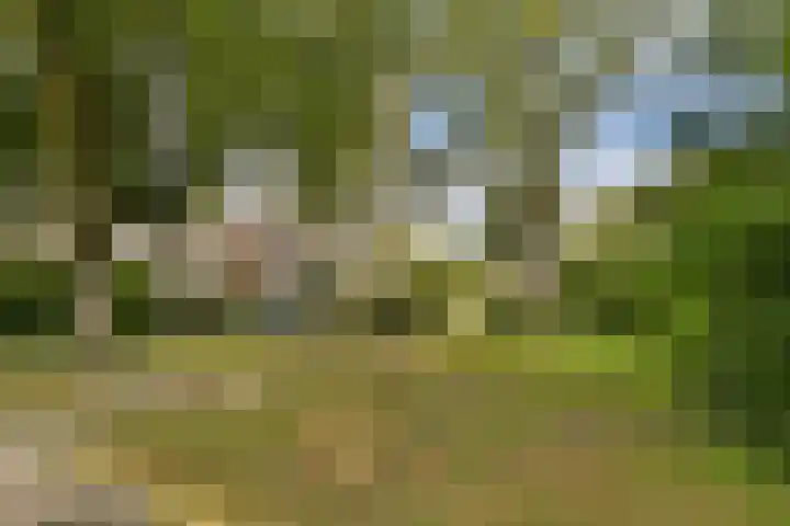 Catsveld 141 Gouda thumbnail 31