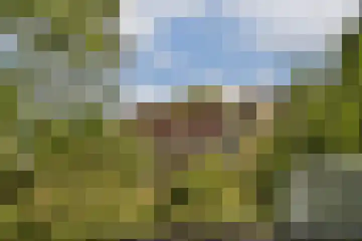 Catsveld 141 Gouda thumbnail 32