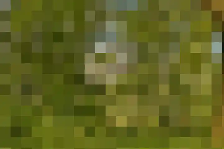 Catsveld 141 Gouda thumbnail 33