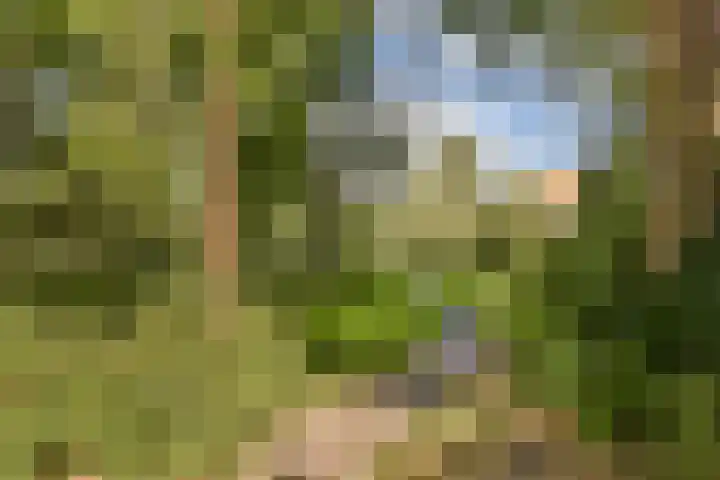 Catsveld 141 Gouda thumbnail 34