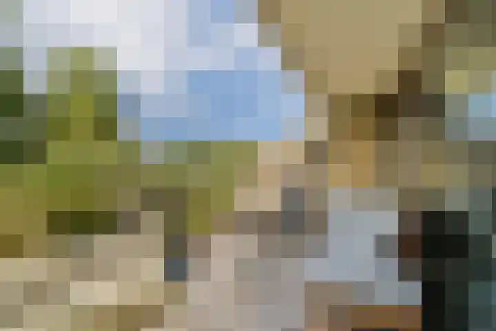 Catsveld 141 Gouda thumbnail 4