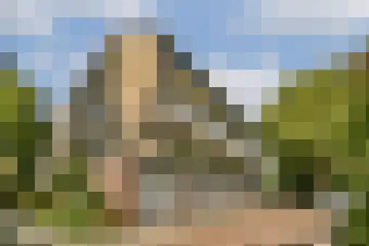 Catsveld 141 Gouda thumbnail 5
