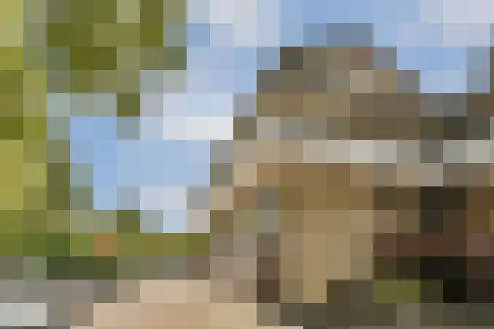Catsveld 141 Gouda thumbnail 6