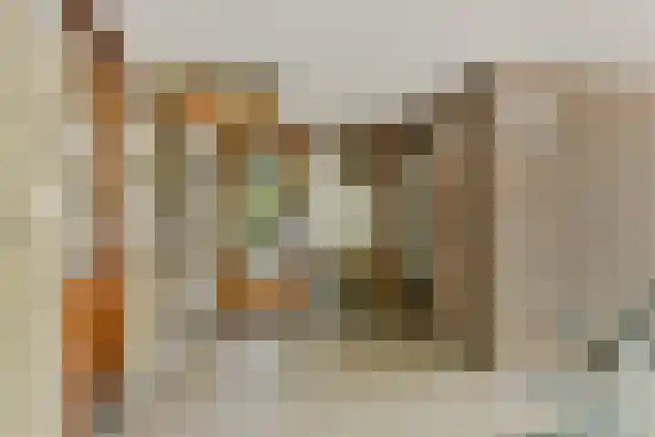 Catsveld 141 Gouda thumbnail 7