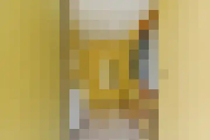 Catsveld 141 Gouda thumbnail 8