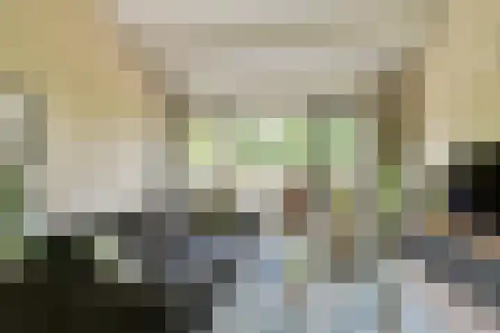 Catsveld 141 Gouda thumbnail 9