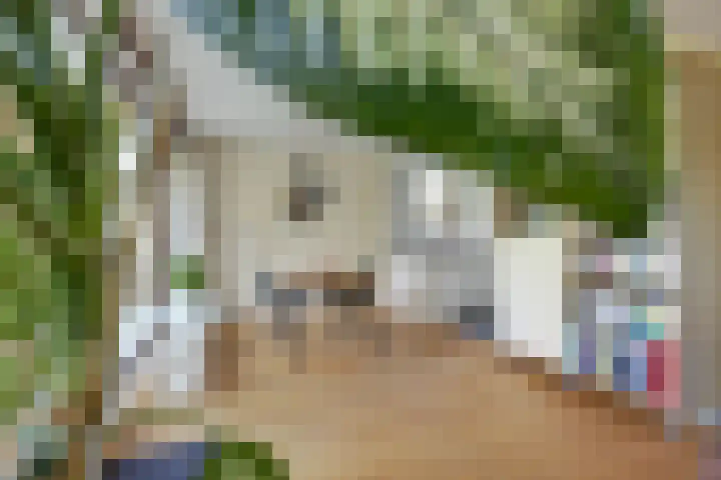 Catsveld 142 Gouda thumbnail 20