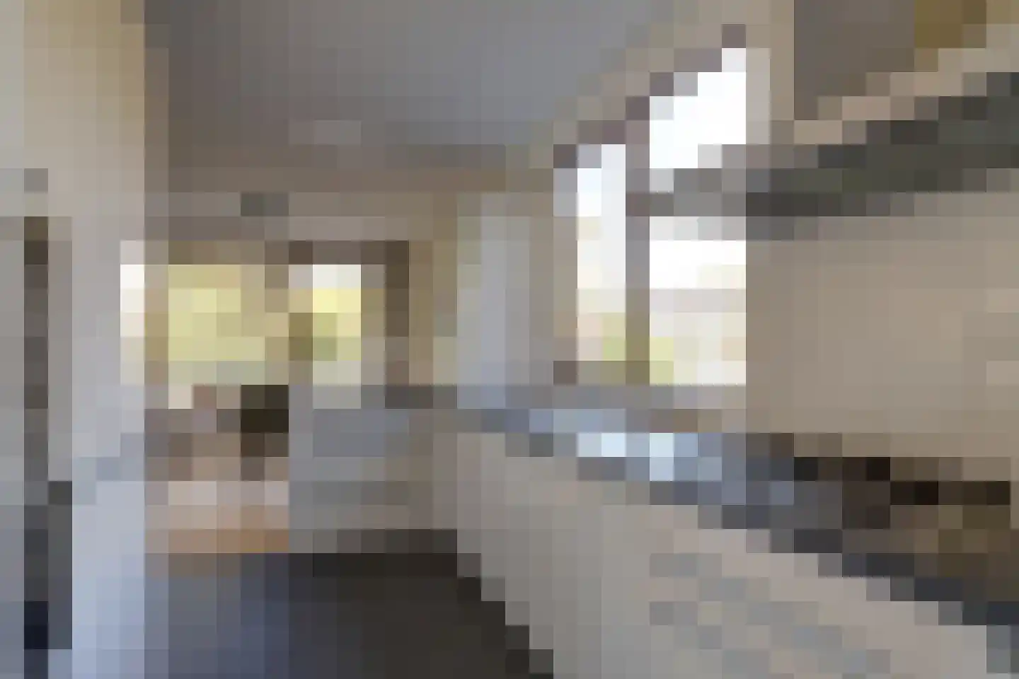 Catsveld 142 Gouda thumbnail 25