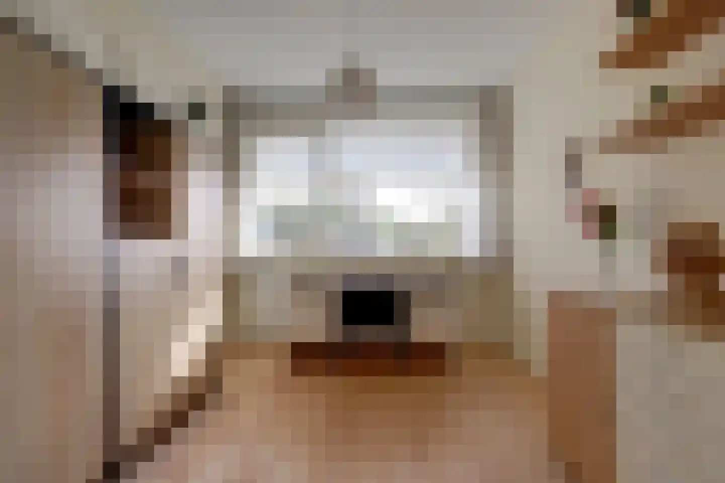 Catsveld 142 Gouda thumbnail 29
