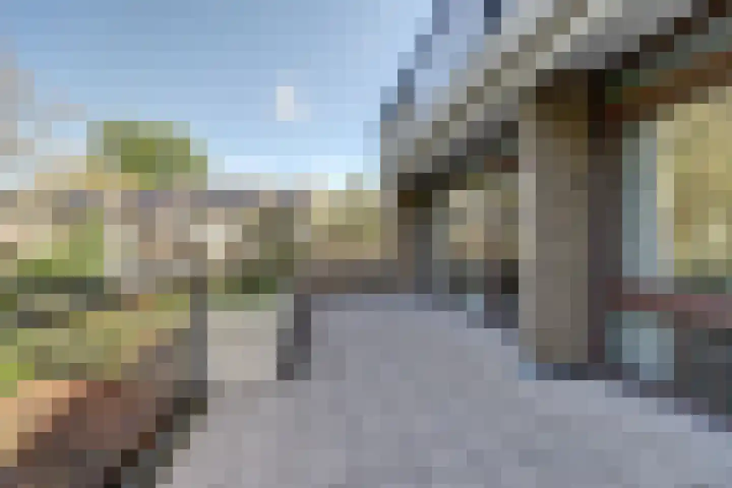 Catsveld 142 Gouda thumbnail 37