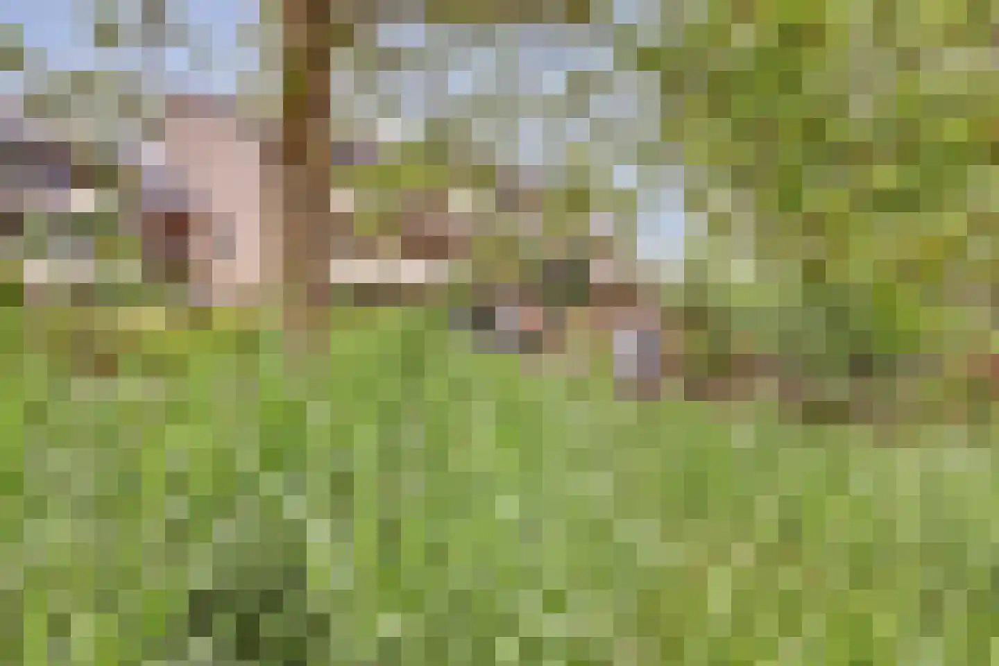 Catsveld 142 Gouda thumbnail 40