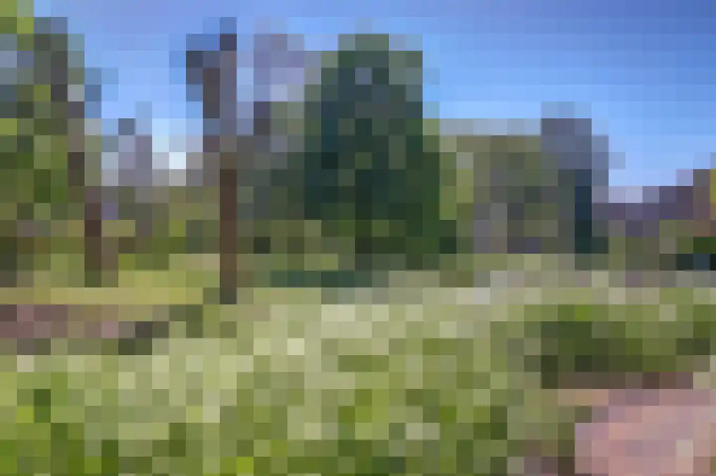 Catsveld 142 Gouda thumbnail 47
