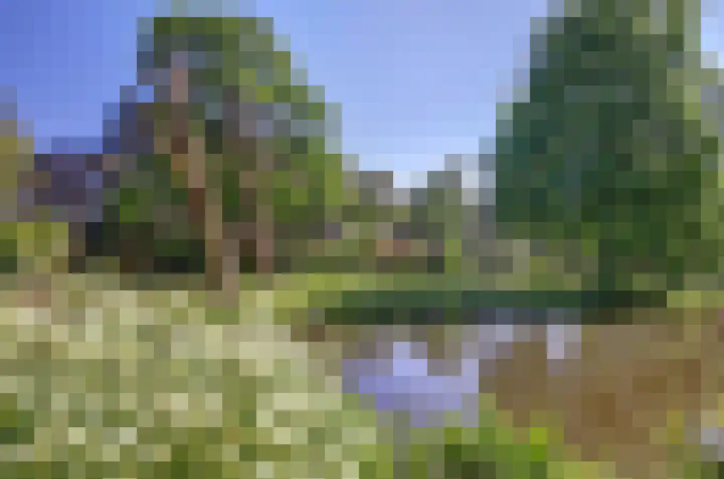 Catsveld 142 Gouda thumbnail 48