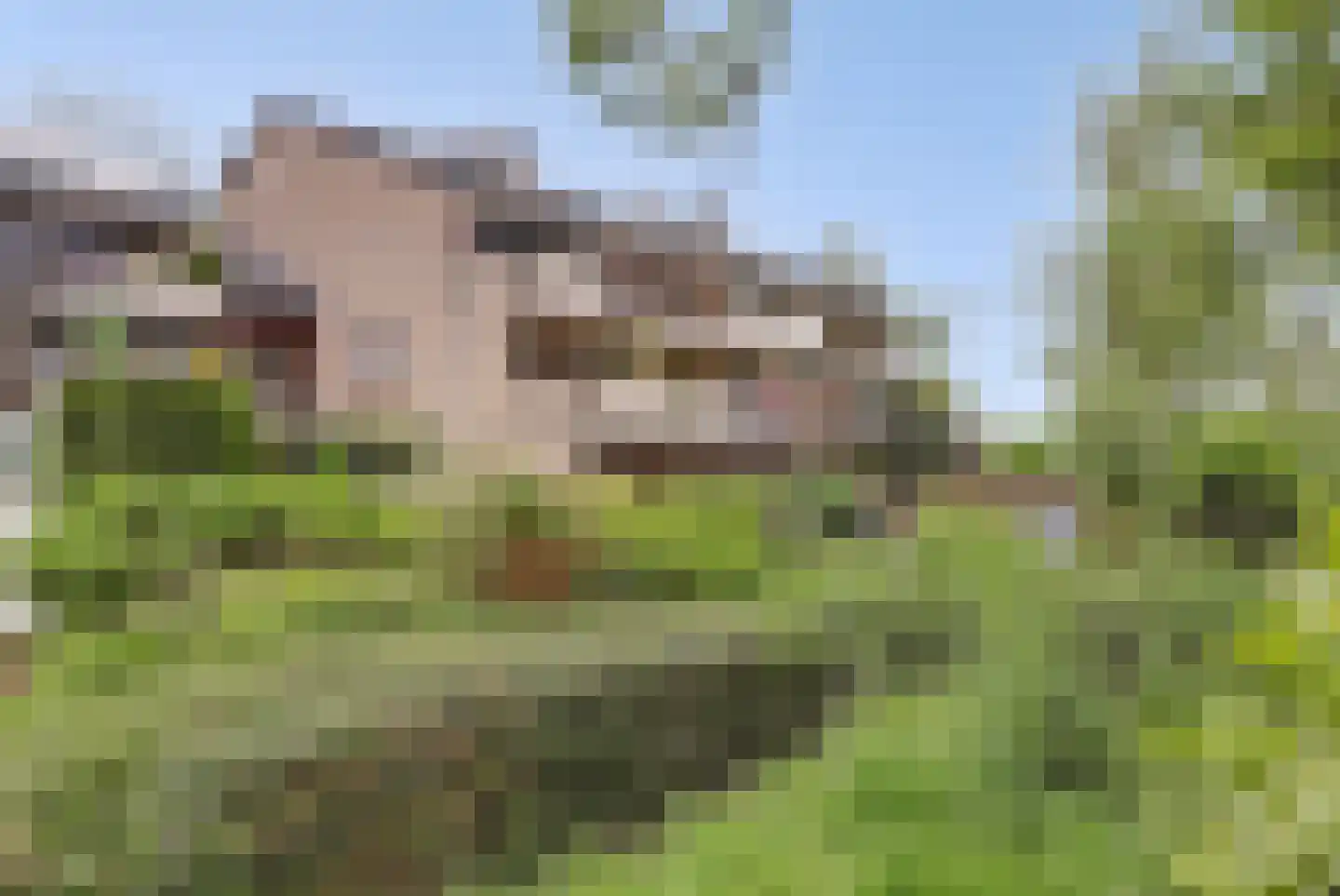Catsveld 142 Gouda thumbnail 5