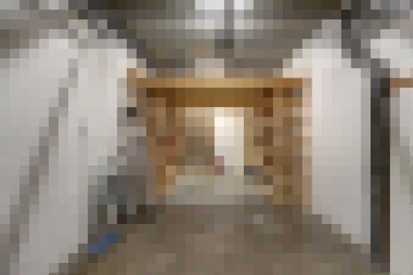 Catsveld 142 Gouda thumbnail 8