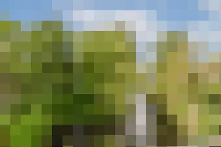 Catsveld 156 Gouda thumbnail 10