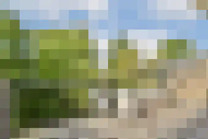 Catsveld 156 Gouda thumbnail 11