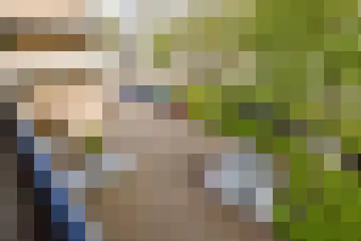 Catsveld 156 Gouda thumbnail 17