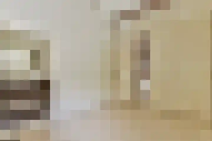 Catsveld 156 Gouda thumbnail 18