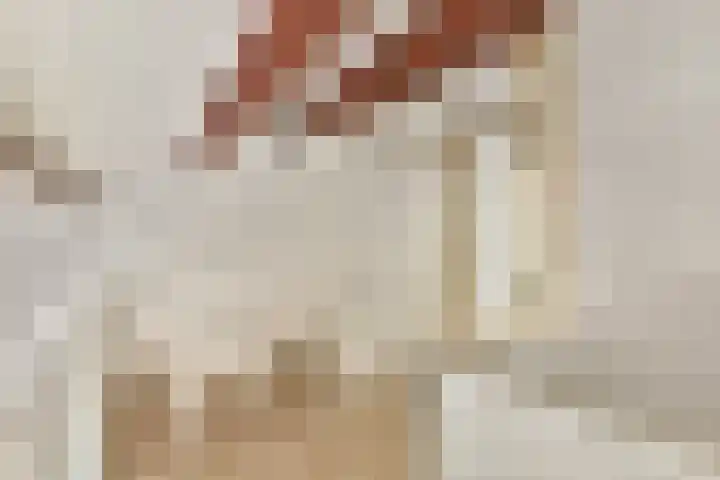 Catsveld 156 Gouda thumbnail 23