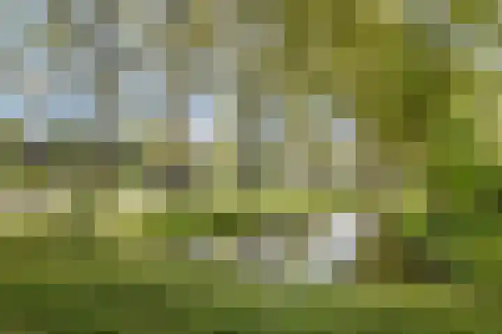 Catsveld 156 Gouda thumbnail 25