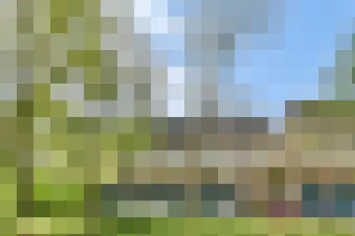 Catsveld 156 Gouda thumbnail 5