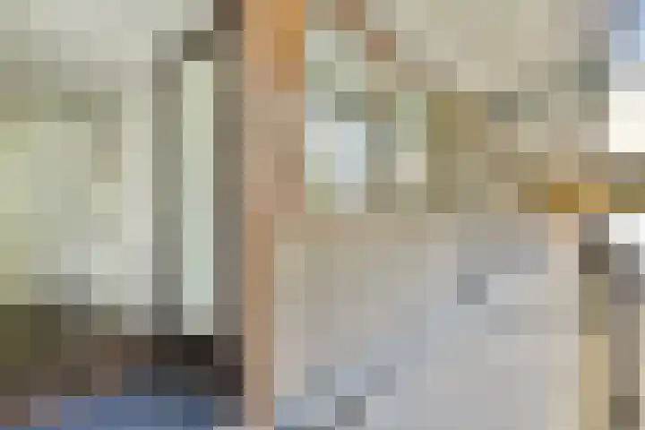 Catsveld 156 Gouda thumbnail 6