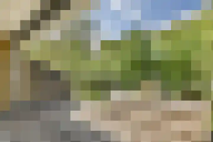 Catsveld 156 Gouda thumbnail 9