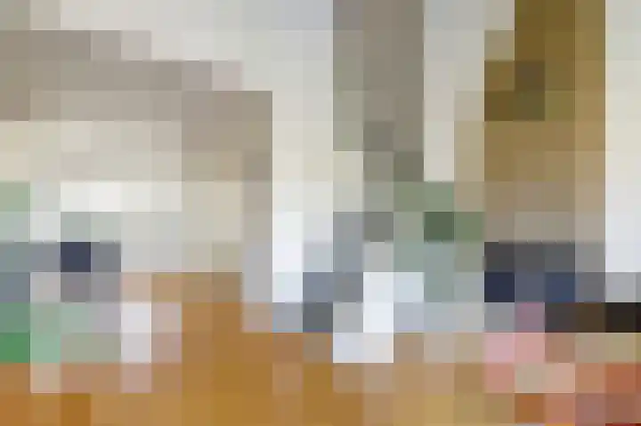 Catsveld 16 Gouda thumbnail 4