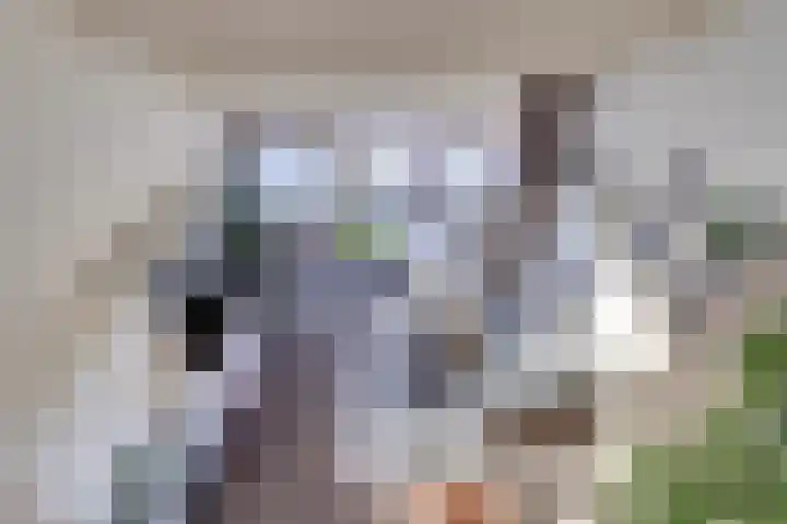 Catsveld 19 Gouda thumbnail 10
