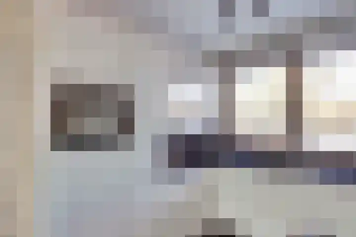 Catsveld 19 Gouda thumbnail 12