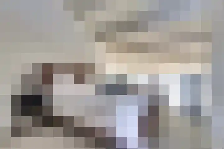 Catsveld 19 Gouda thumbnail 18