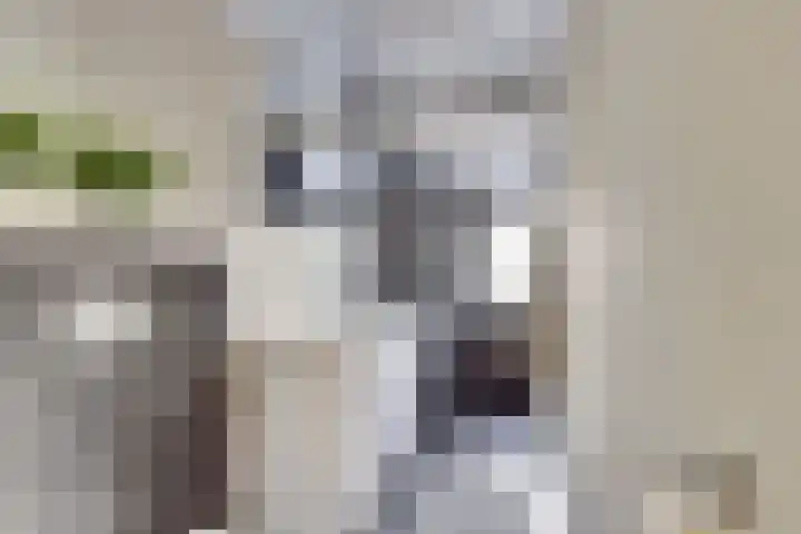 Catsveld 19 Gouda thumbnail 21