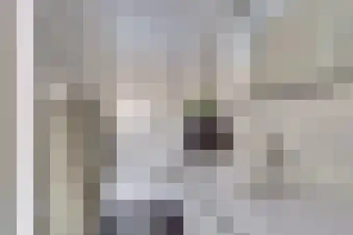 Catsveld 19 Gouda thumbnail 23