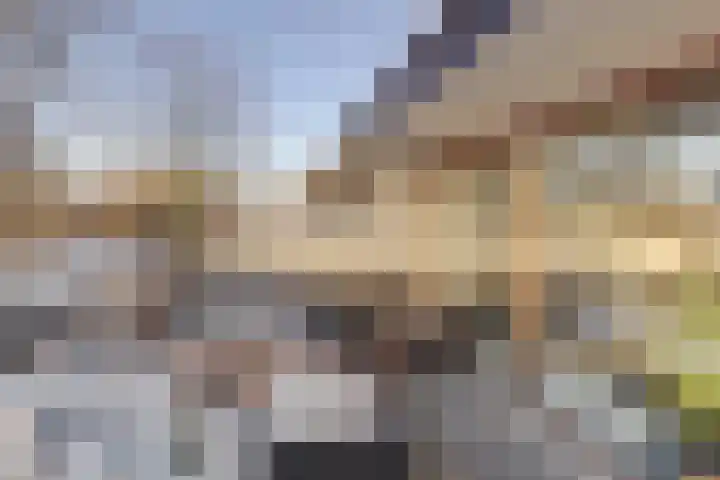Catsveld 19 Gouda thumbnail 26