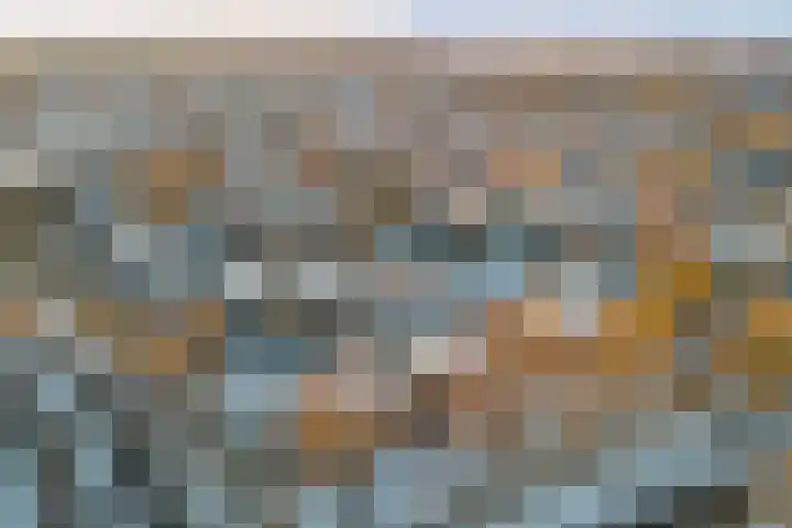 Catsveld 19 Gouda thumbnail 29