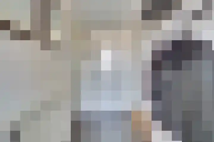 Catsveld 19 Gouda thumbnail 5