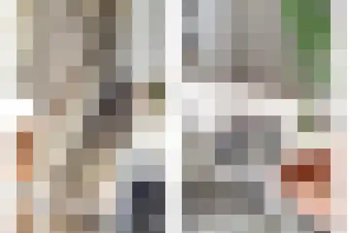 Catsveld 19 Gouda thumbnail 7