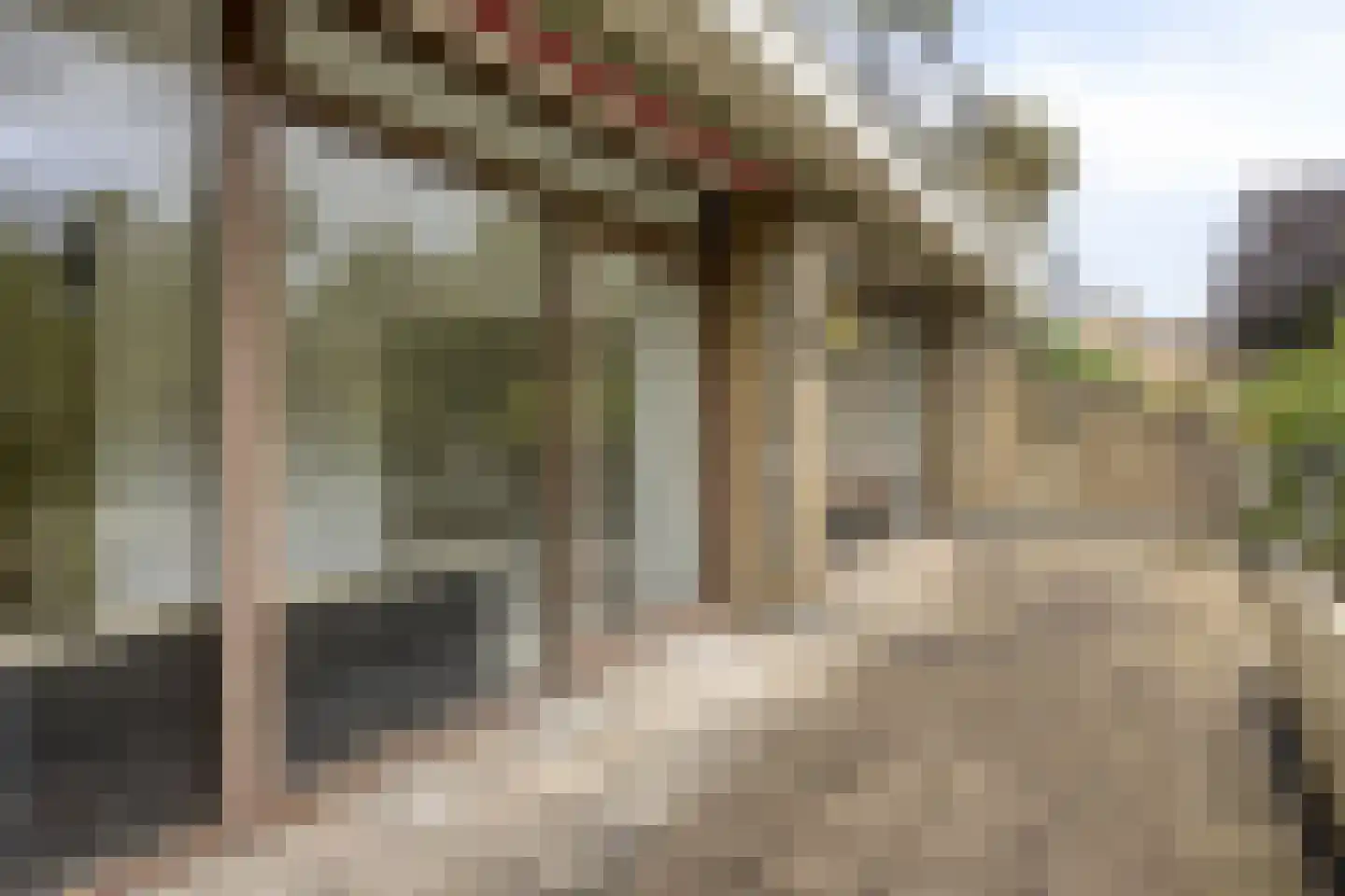 Catsveld 30 Gouda thumbnail 16