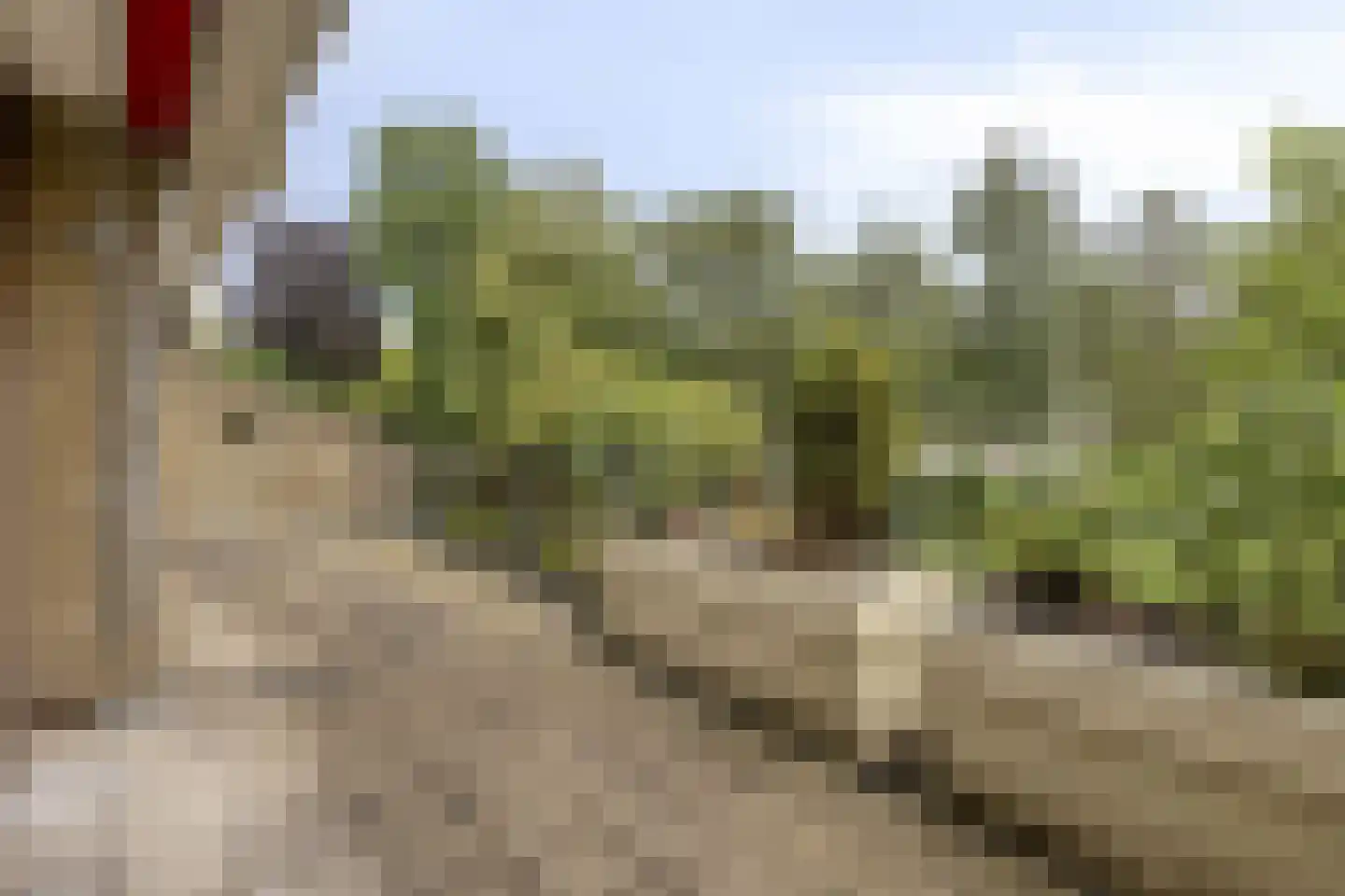 Catsveld 30 Gouda thumbnail 18