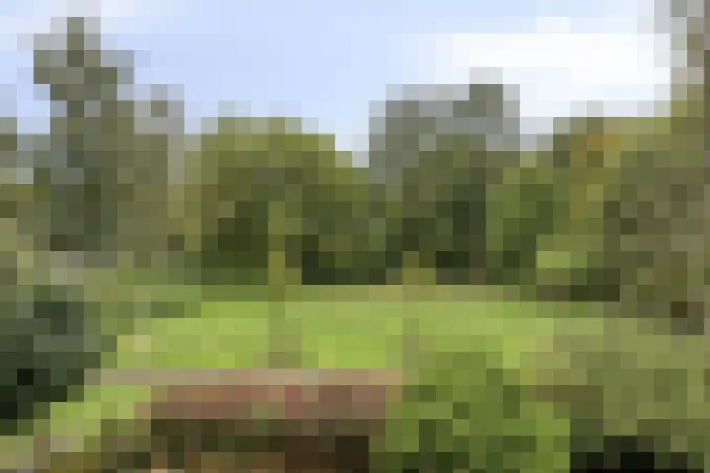 Catsveld 30 Gouda thumbnail 33
