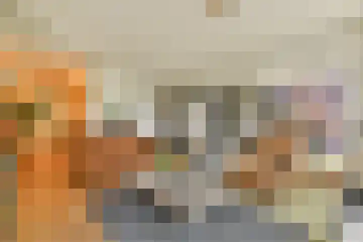 Catsveld 31 Gouda thumbnail 10