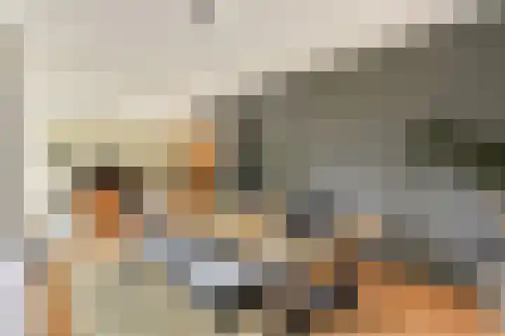 Catsveld 31 Gouda thumbnail 12