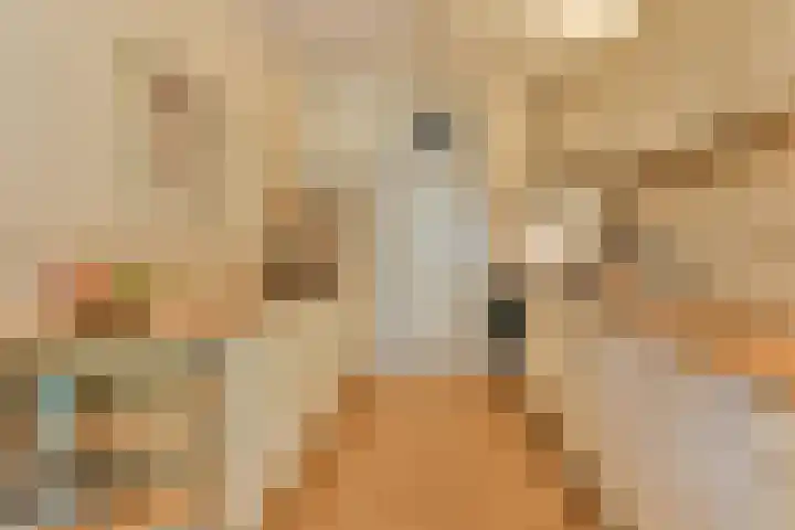 Catsveld 31 Gouda thumbnail 13