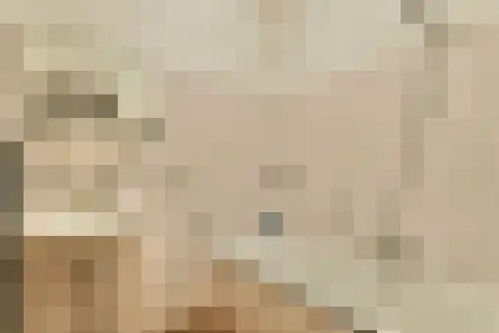 Catsveld 31 Gouda thumbnail 18