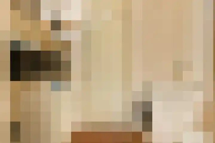 Catsveld 31 Gouda thumbnail 19