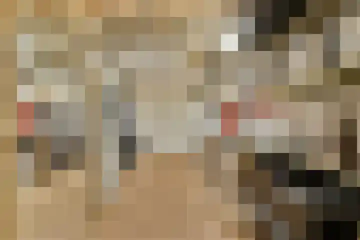 Catsveld 31 Gouda thumbnail 20