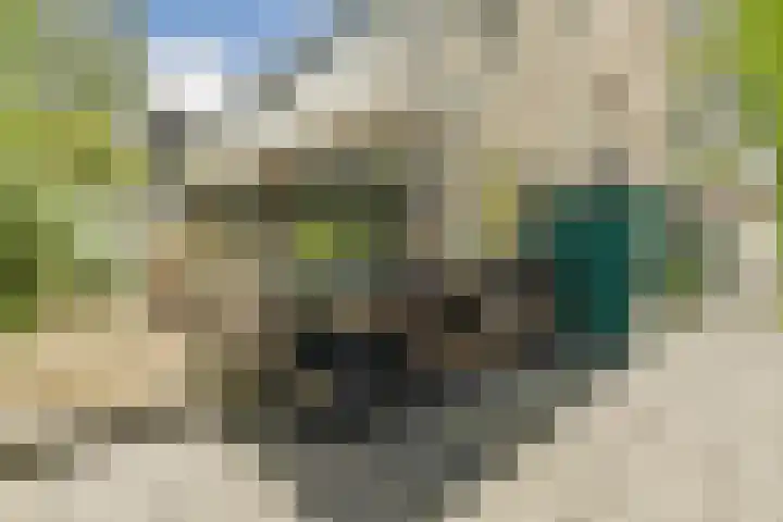 Catsveld 31 Gouda thumbnail 24