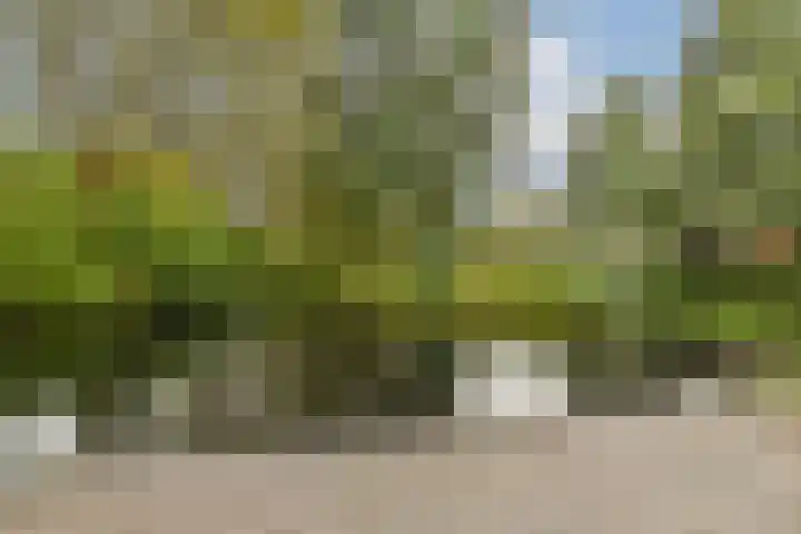 Catsveld 31 Gouda thumbnail 27
